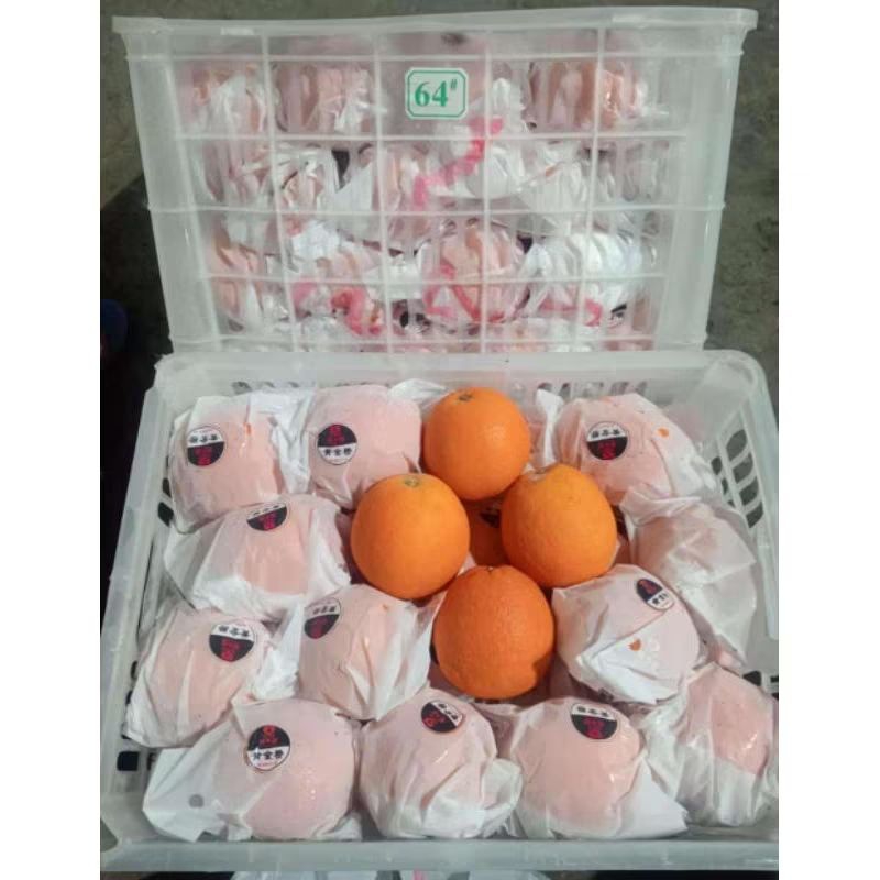 

JERUK SUNKIST