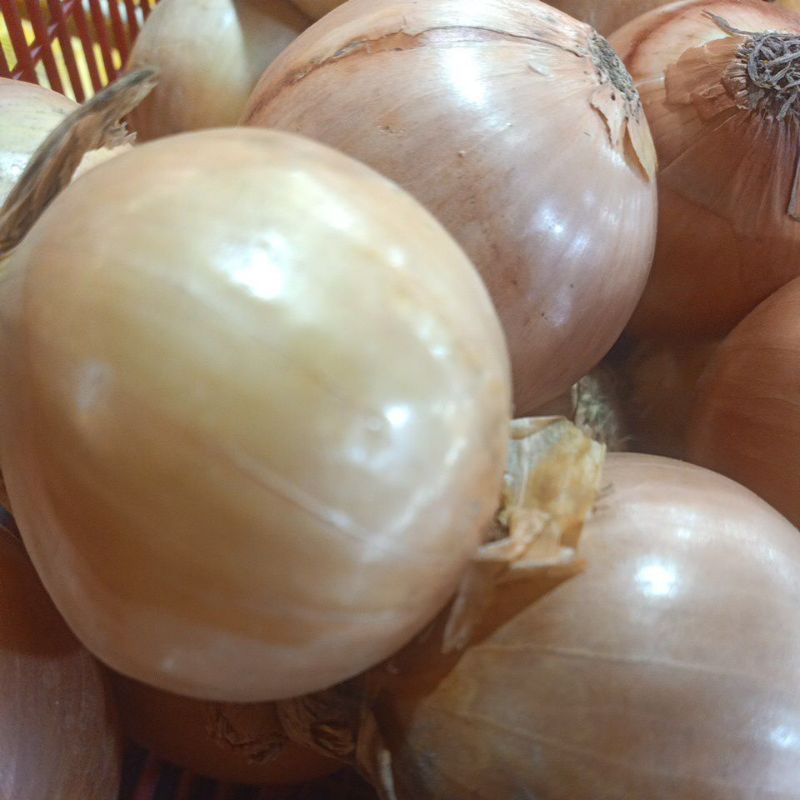 

Bawang Bombay ukuran 250g/500g/1Kg