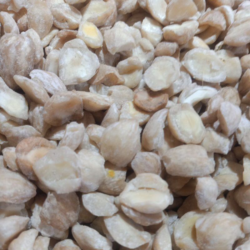 

Kemiri Pecah Fresh Ukuran 250g/500g/1Kg