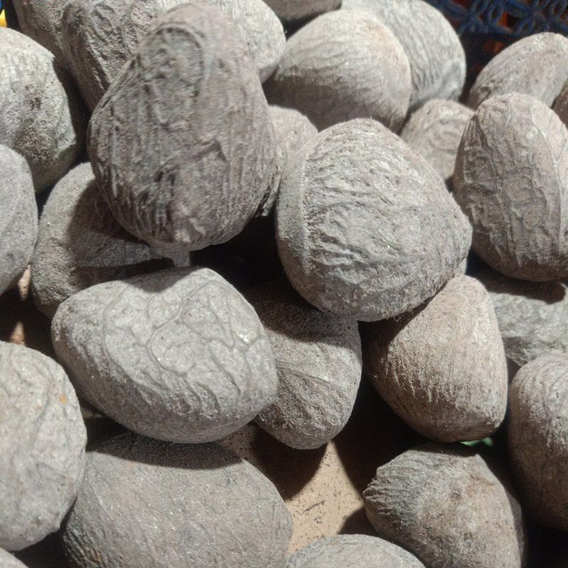 

Pucung/Kluwek Ukuran 250g/500g/1Kg