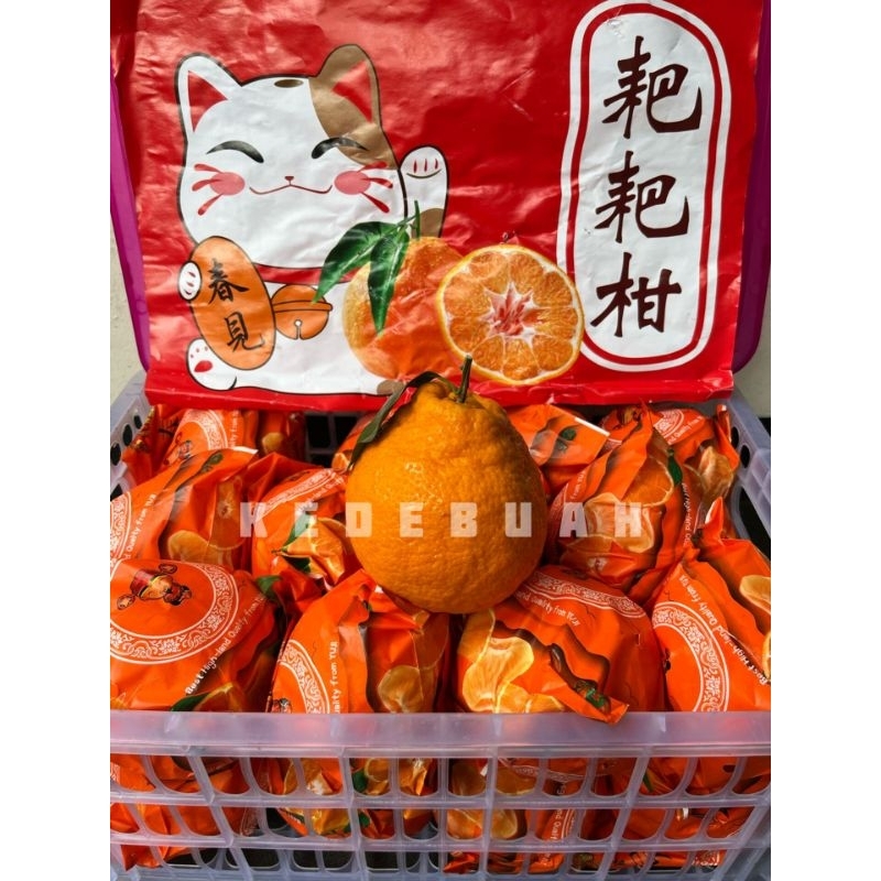 

Jeruk Chunjian 1 Keranjang 5 Kg