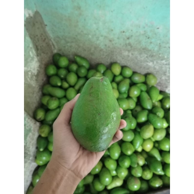 

ALPUKAT MENTEGA LOKAL/1KG ISI 3-4/MENTAHAN