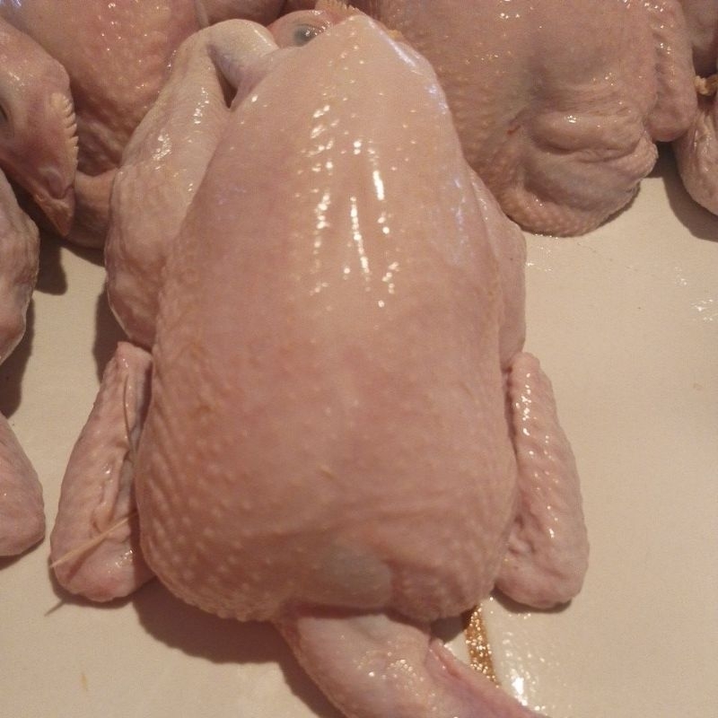 

ayam boiler utuh berat 1kg