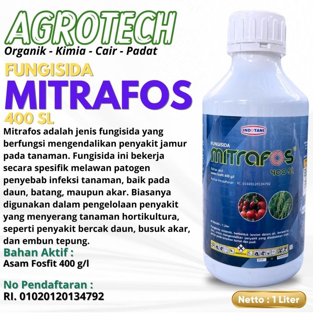 MITRAFOS 400SL Fungisida Sistemik Mengatasi Antraknosa Tanaman Padi Dan Tomat
