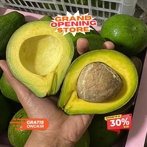 

Alpukat Fresh Panen Langsung Creamy & Lembut 1kg