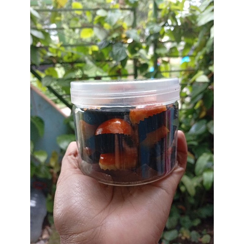 

tester kue kering kue nastar