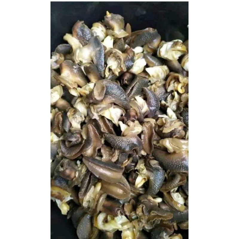 

bekicot fresh/bekicot bersih siap masak berat 1kg