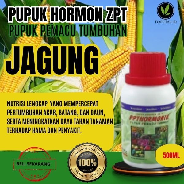 Pupuk Hormon ZPT Jagung / Pupuk Hormon ZPT Jagung Manis / ZPT Terbaik / Pipil / Popcorn/Pertumbuhan