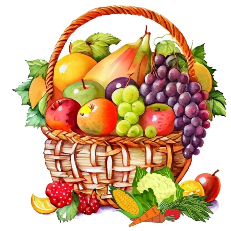 Flash Card Seri hewan, buah - buahan dan sayur - sayuran FREE mewarnai