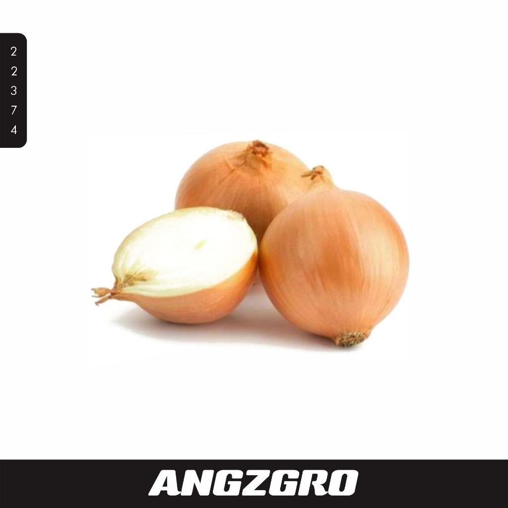 

Bawang Bombay 100 gr