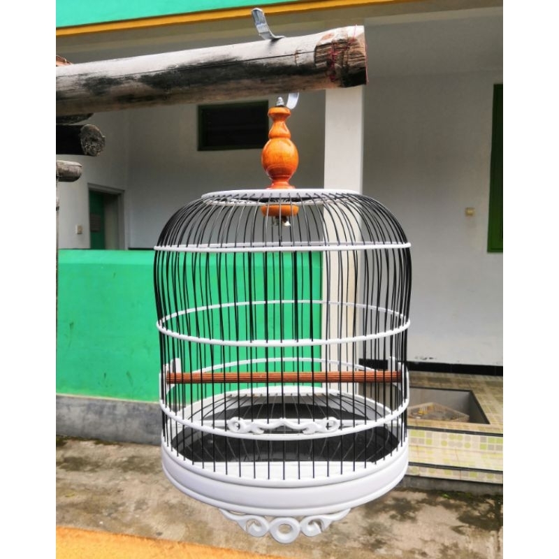 Sangkar Cungkok PVC d26cm ruji fiber alas akrilik hitam