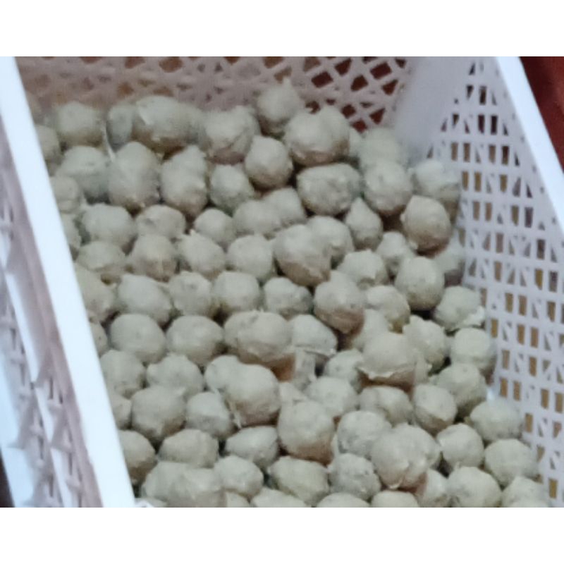 

Bakso Sidojaya - bakso kecil free bumbu kuah - 1 bungkus isi 8 pcs