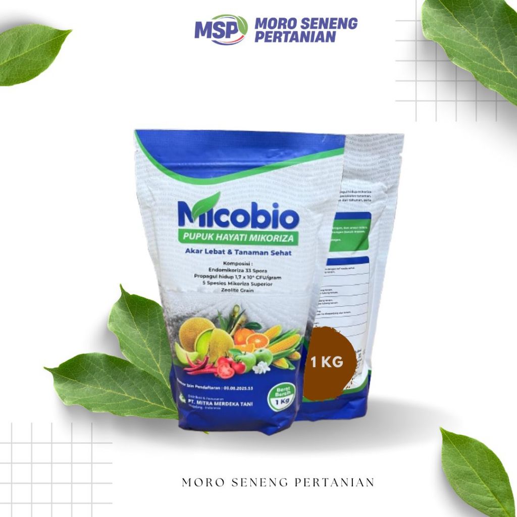 Mikoriza Micobio Pupuk Hayati Mikoriza Akar Lebat & Tanaman Sehat