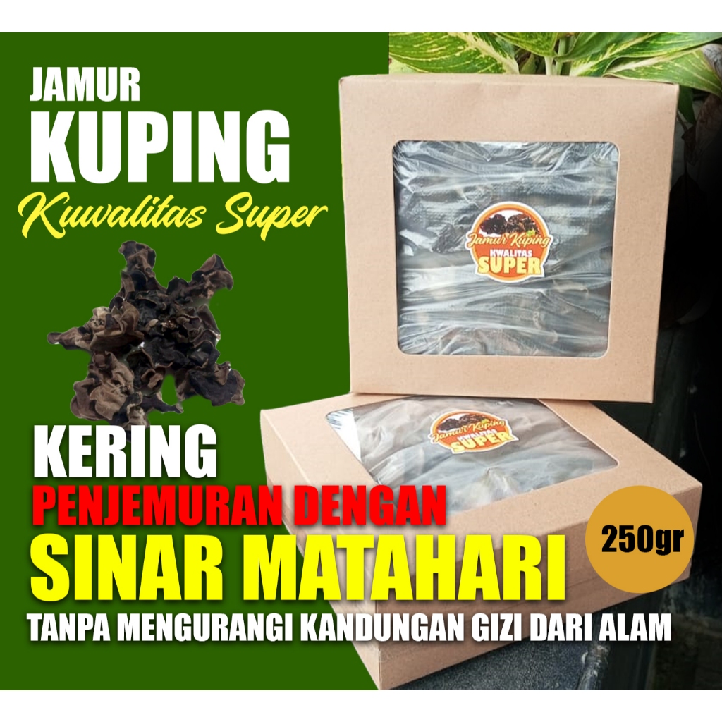 

JAMUR KUPING KERING 250GR KWALITAS SUPER