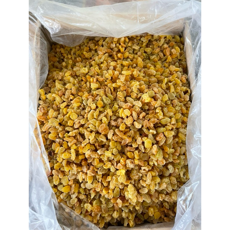 

Golden Raisin Premium Manis / Kismis Emas
