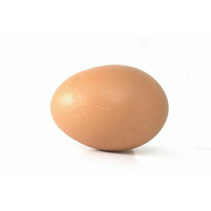 

TELUR AYAM RAS / AYAM KONOHA ORIGINAL