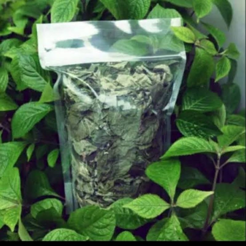 

Daun Keji Beling Kering Pecah Beling Asli Organik Herbal 1 Kg