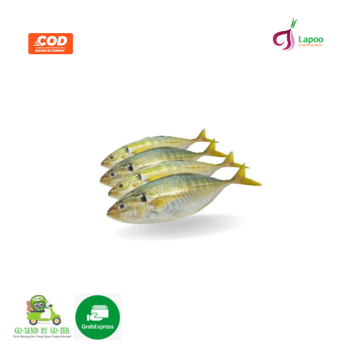 

Ikan Kembung Gambolo SEGAR FRESH 500 gram Daging Segar