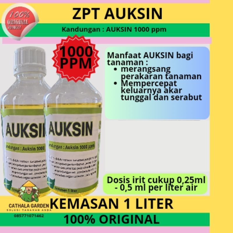 ZPT HORMON AUKSIN 1000 PPM KEMASAN 1 LITER | HORMON AKAR DAN TUNAS