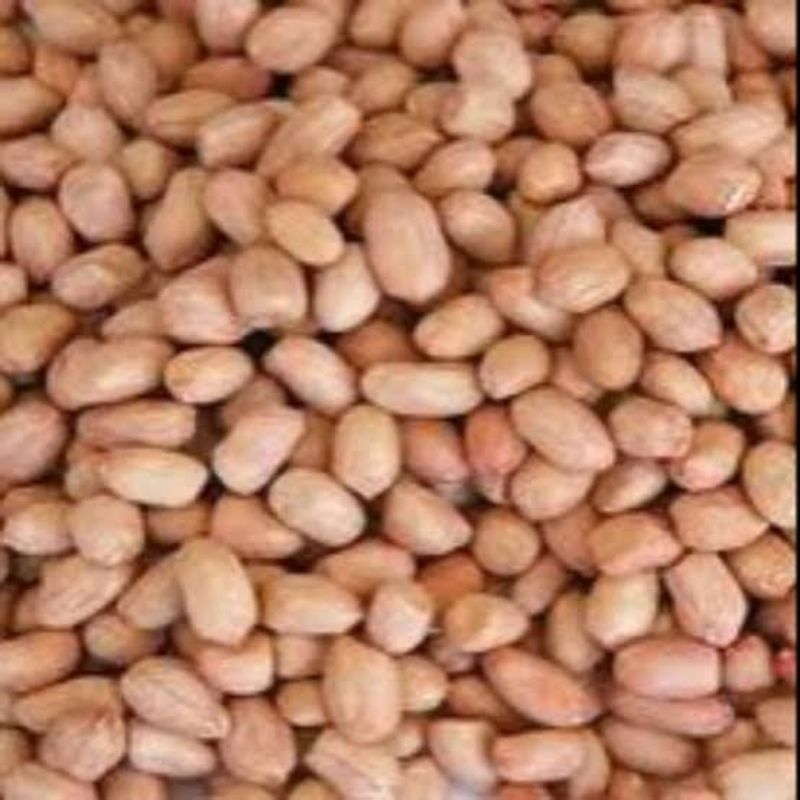 

KACANG TANAH PRODUK IMPORT