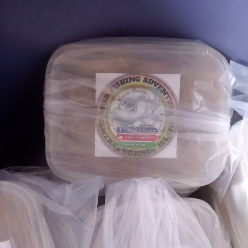 umpan kucur / umpan palit yt kahayan