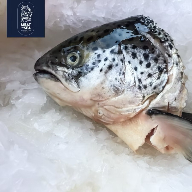

[IKAN SEGAR] Norwegia Kepala Salmon 1kg