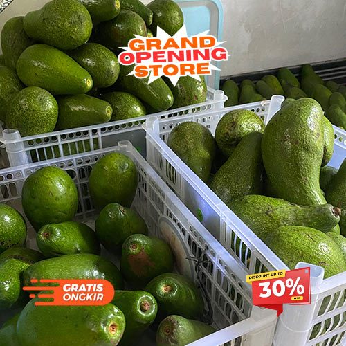 

Alpukat Matang Alami Lembut Gurih Enak & Bergizi