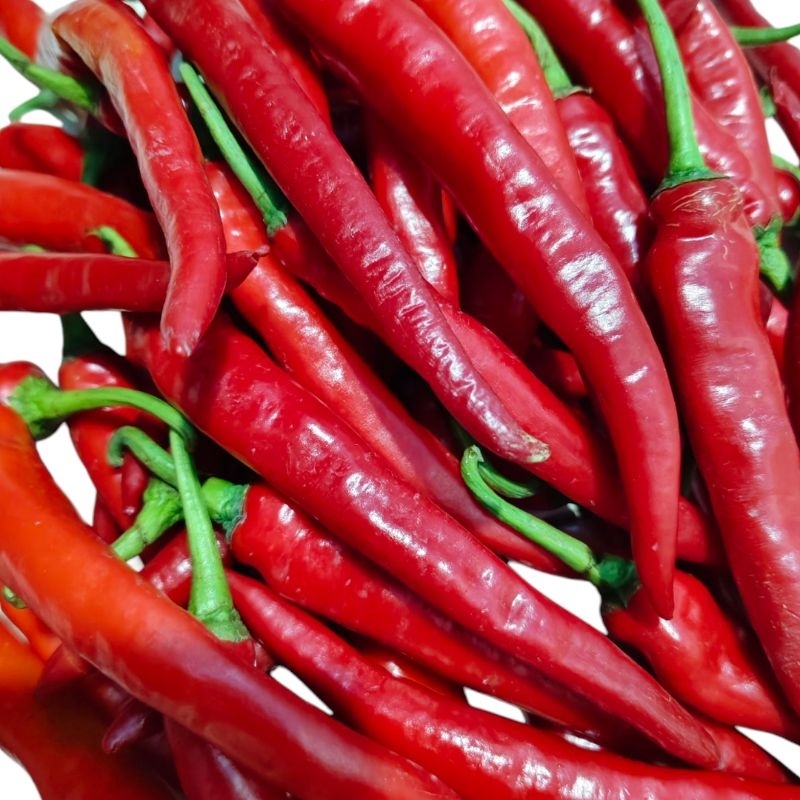 

cabe merah besar 500gram