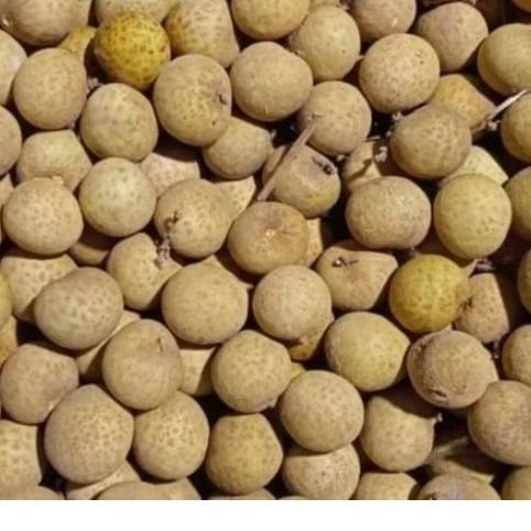

buah lengkeng 1 kg