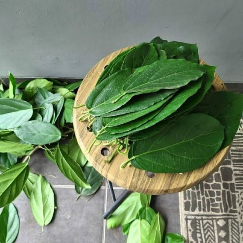 

Daun Cincau Hijau Segar 1 Kg