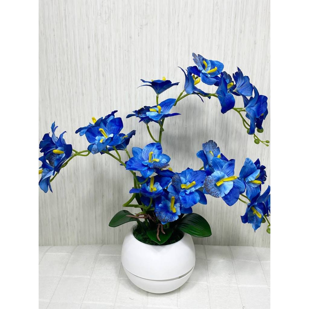 Bunga Meja Sudut Anggrek Pot Bulat