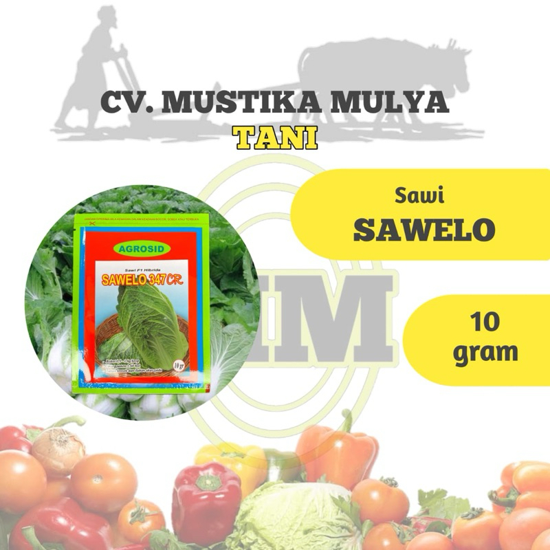 BENIH SAWI ( SAWELO ) AGROSID