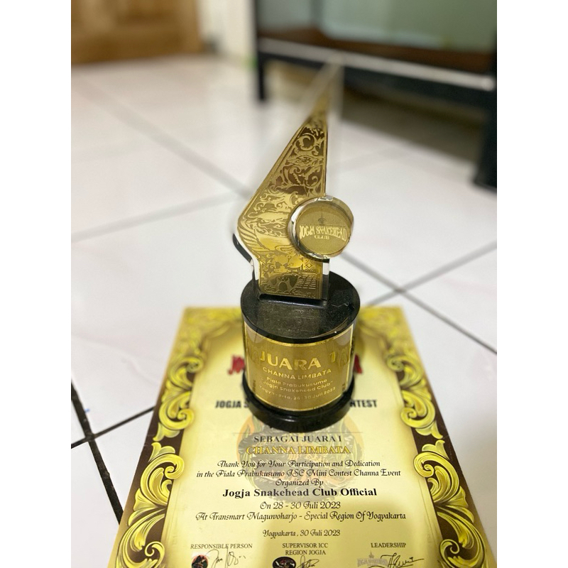 Jogja Snakehead Club#2 J1 Limbata