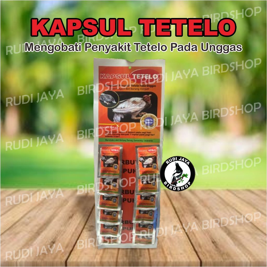 KAPSUL TELO TETELO AYAM 1 RENTENG RUDI JAYA OBAT AYAM SAKIT TETELO SNOT AYAN CRD KEPALA BERPUTAR