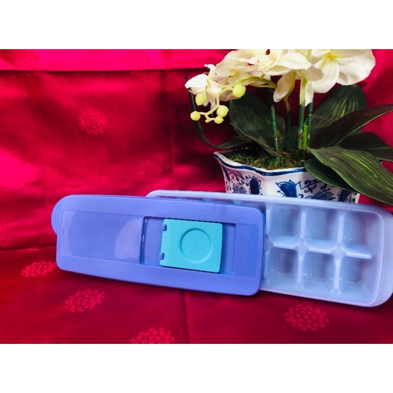 Cetakan Es Tupperware | Ice Tray Tupperware