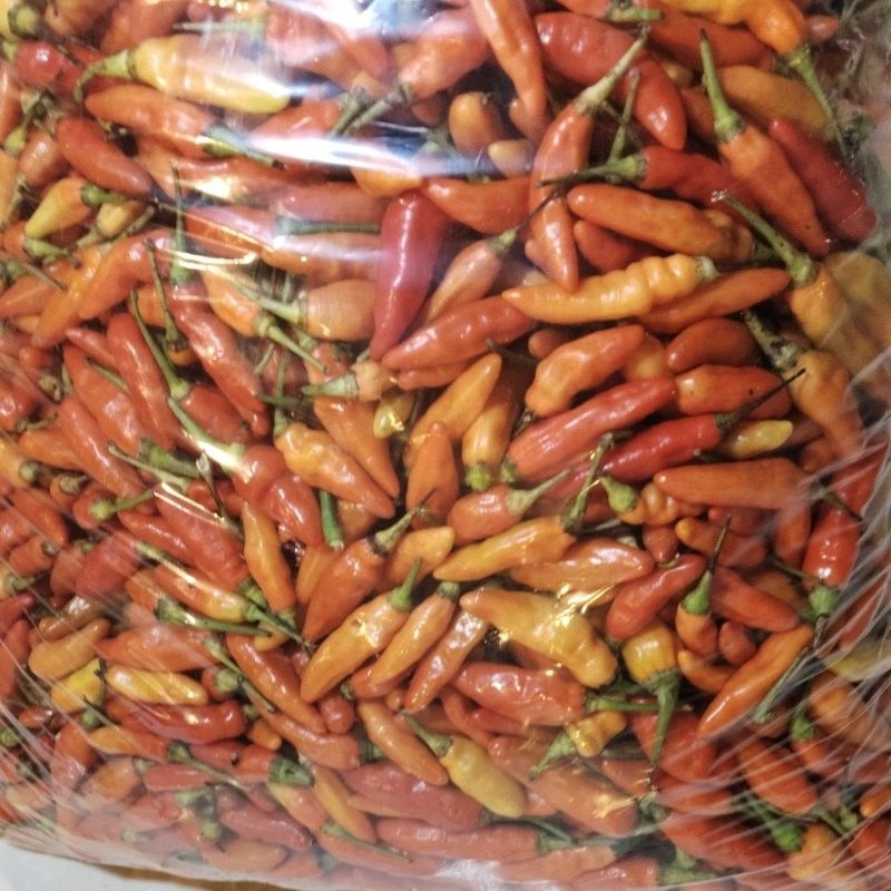 

cabe rawit merah ori 1kg