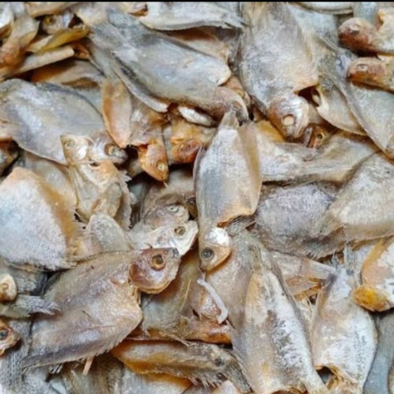 

IKAN ASIN SEPAT RAWA 100 gr