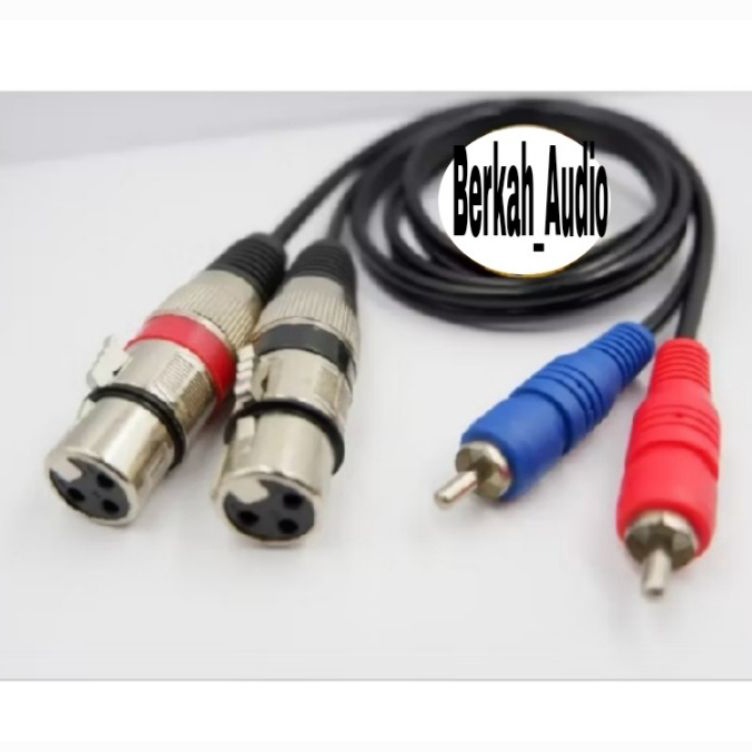 Hemat Kabel Jack MixerPowerAmpli Jack 2 CanonXLR Female to 2 RCA