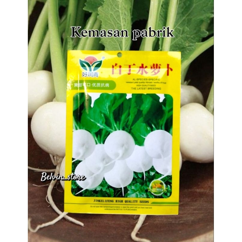 500 butir benih lobak turnip putih bulat import [kemasan pabrik]