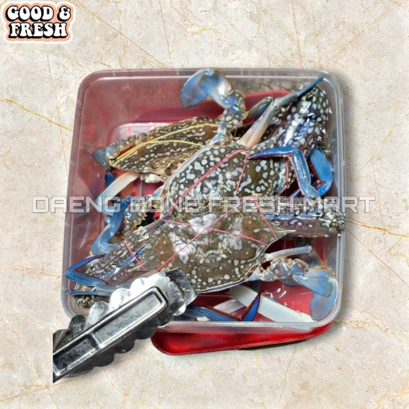 

Kepiting Rajungan Segar Berkualitas