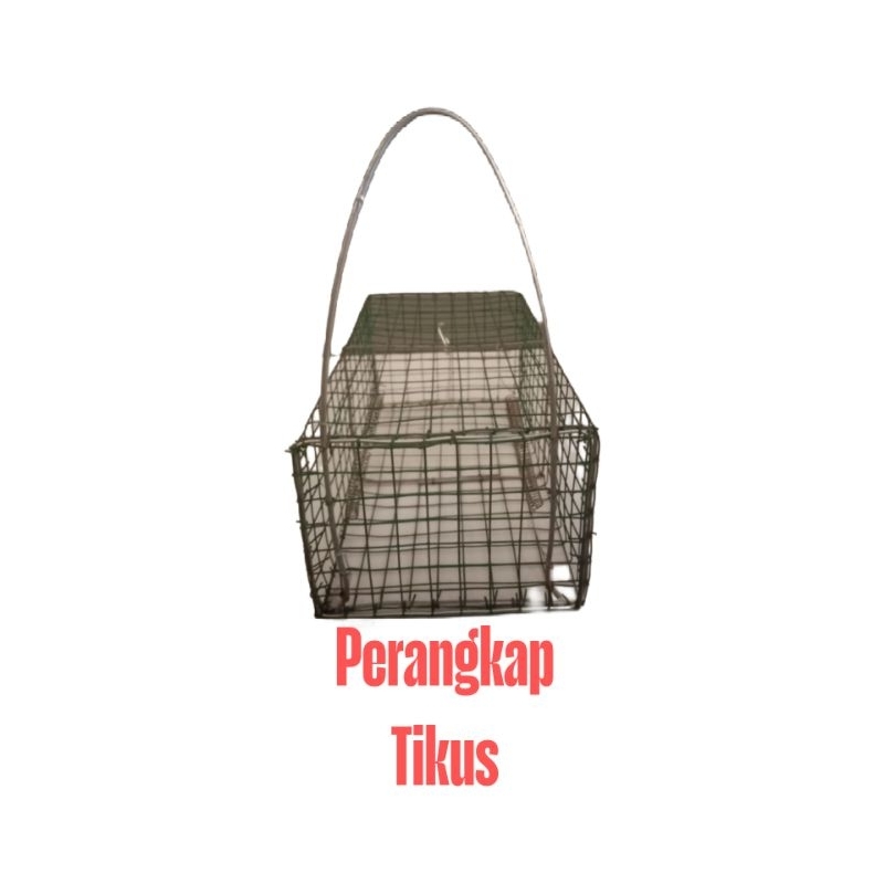 perangkap tikus paling ampuh/jebakan tikus jumbo