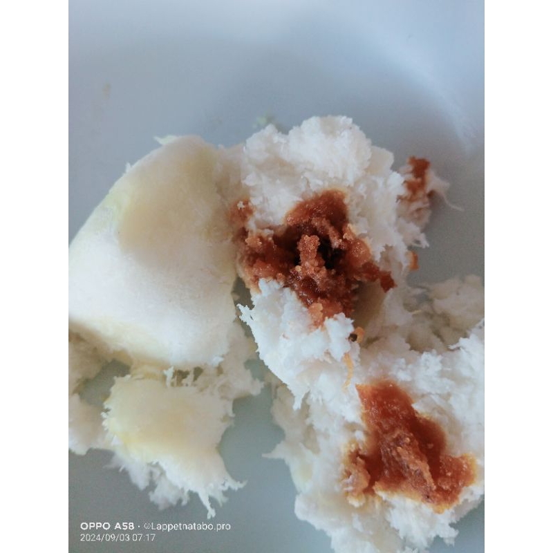 

Lappet Gabur