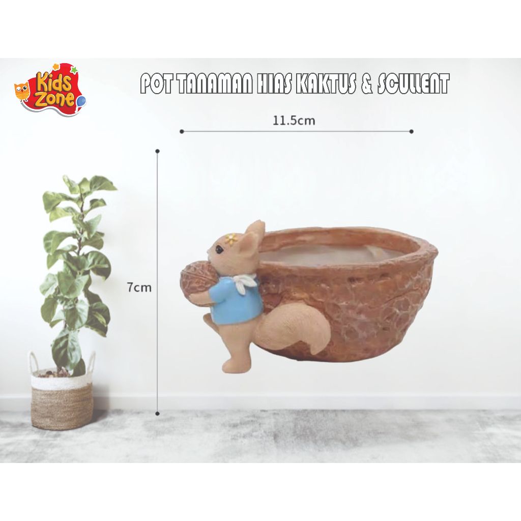 POT TUPAI – Pot Tanaman Hias Unik untuk Kaktus & Sukulen