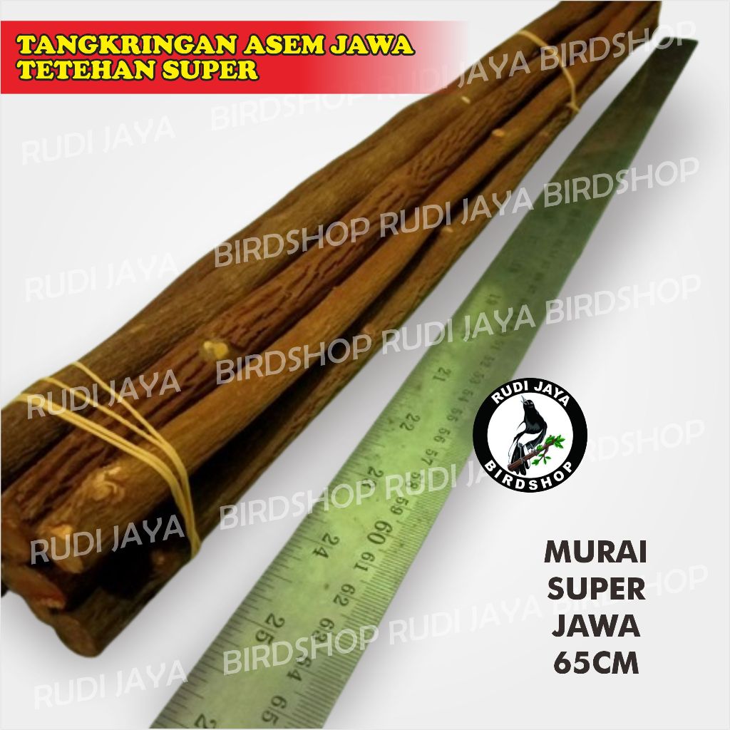 TANGKRINGAN ASEM JAWA TETEHAN SUPER LOMBA BURUNG MURAI KACER KENARI ANIS PANGKRINGAN SANGKAR KANDANG