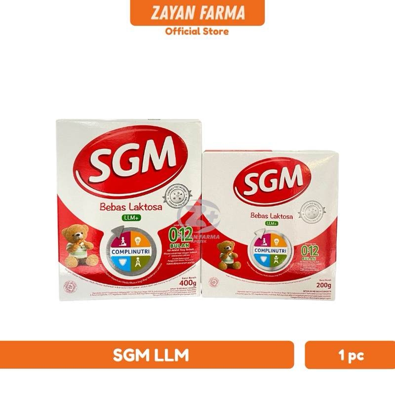 SGM LLM