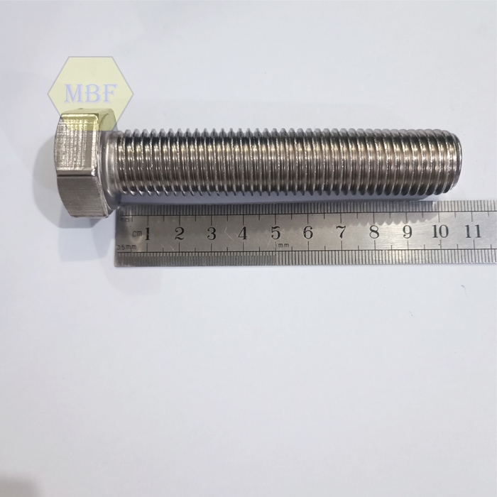 M20 x 100 Baut Hexagon Stainless 304 M20x100