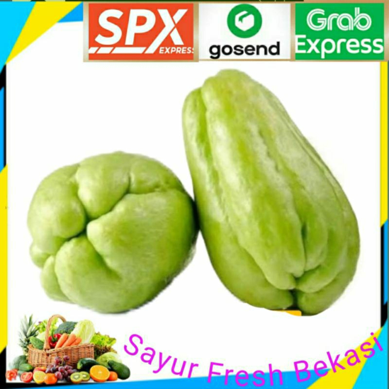 

Labu Siam Besar (1 Buah).