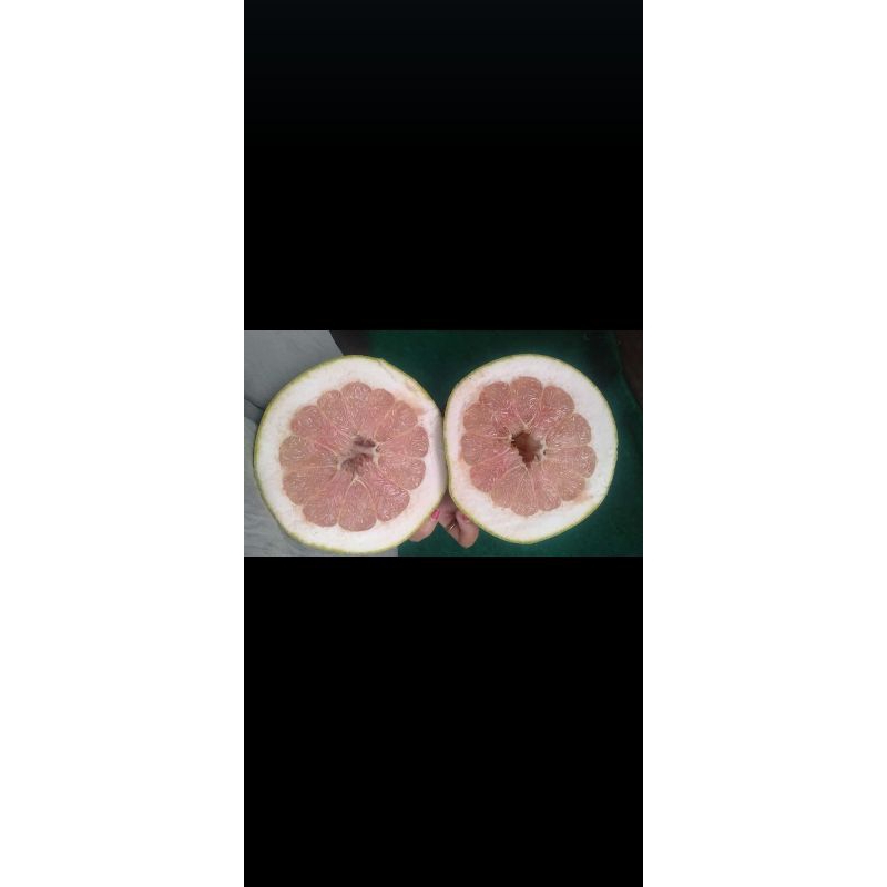 

jeruk pamelo madu berat 8 ons - 1kg