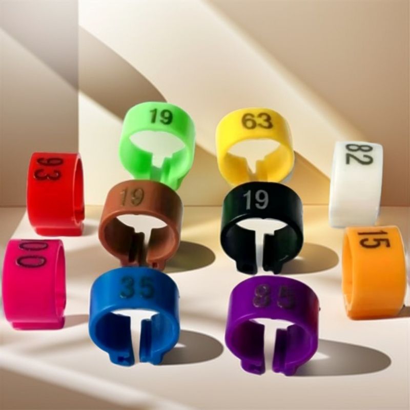 RING KLIP MERPATI DEWASA NOMOR SERI