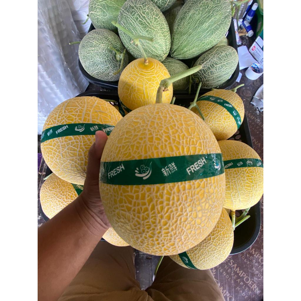 

Buah Segar MELON INTHANON GOLDEN EMERALD Melon Emas Lembut Lumer Manis Pol Premium Thailand Belanda